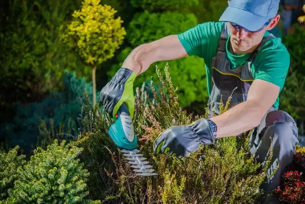 landscaping services West Point